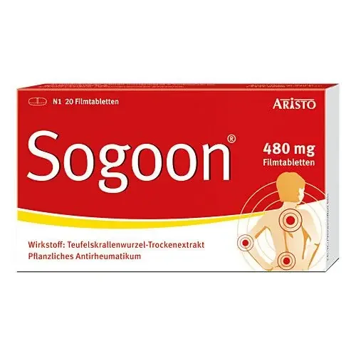 SOGOON 480 mg Filmtabletten 20 St